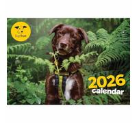 Dogs Trust A4 Calendar 2026