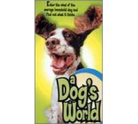 Dog's World - Dog's World