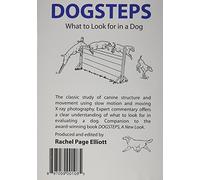 Dogsteps: What to Look for in a Dog