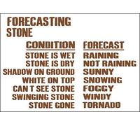 DOGT Metal Sign 8x12 inches Weather Forecasting Stone Metal Sign