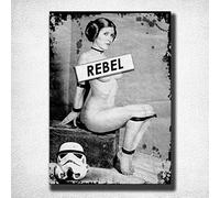 DOGT Metal tin sign 12x16 inches Rebel Princess Leia Vintage Tin Sign