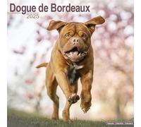Dogue de Bordeaux 2025 Square Wall Calendar | Dog Breed Calendar