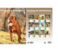 Dogue De Bordeaux 2026 Calendar - A3 Size 30 x 42 cm, 12 Months of Great Photography