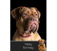 Dogue De Bordeaux Birthday Card