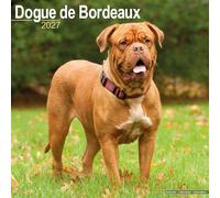 Dogue De Bordeaux Calendar 2027, Wall Calendars, Month To View, Dogs, Gift
