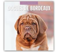 Dogues de Bordeaux 2025 Square Wall Calendar