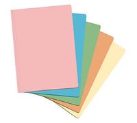 Dohe - Pack of Subfolders - A4 - Assorted Colours (Soft) - 50 Units