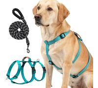 DOINEUFL Escape Proof Dog Harness & Lead Set, No Pull Adjustable Vest with Padded Handle, 1.5m 12mm Reflective Strong Rope Lead for Medium Large Dogs Training Walking (Teal, M)