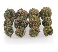 DOITOOL 1 Box Miniature Model Trees Bush Cluster DIY Static Shrub Tuft for Sand Table Decor Train Track Scenery Plastic Plants for Railroad and Diorama Landscaping
