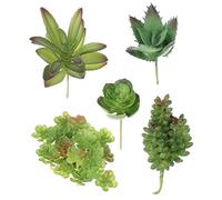 DOITOOL 1 Set Faux Succulent Plants for Indoor Decoration Unpotted Realistic Artificial Succulents for Home Office DIY Crafting No Watering Needed for Table Balcony Garden Decor