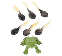 DOITOOL 1set Miniature Plastic Frog Figurines with Tadpole Models Detailed Ornaments for Fairy Garden Bonsai Aquarium and Terrarium DIY Decorations