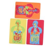 DOITOOL 3Pcs Educational Human Organs Puzzle DIY System for Fun Anatomy Learning Aid Develops Cognitive Skills Colors present for Young Learners