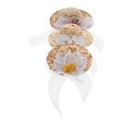 DOITOOL 3pcs Mini Pet Hats for Small Animals Woven Small Animal Hat for Hamsters Parrots Chickens and Birds Cute Sombrero Costume Caps for Pet Parties Festivals and Photoshoots