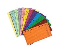 DOITOOL 48 Pcs Budget Envelopes with Budget Sheets for Money Tracking Cash Management and Expense Planning for Home Office and School Financial Organization