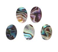 DOITOOL 5pcs Abalone Seashell Oval Charms for DIY Crafts, Create Eye-catching Necklace and Earrings Accessories, Unique Assorted Colour Shell Charms for Jewellery Making