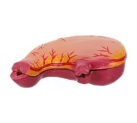 DOITOOL Anatomy Stomach Model for Education and Science Classrooms Plastic Stomach Dissection Model with Anatomy Visualization for Students and Educators