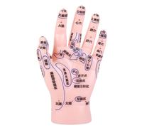 DOITOOL Anti-slip Hand Reflexology Model with Labeled Acupuncture Points for Tcm Teaching and Massage Training