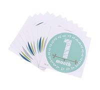 DOITOOL Baby Photo Prop Milestone Stickers Assorted Colour Paper Monthly Newborn Month Sticker for Photo Album Commemorating Baby's First Year and Recording Baby's Milestones