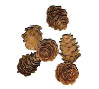 DOITOOL Classic Pine Cone Props 50 Pcs Wooden Pine Cones for Christmas Tree Wall Hanging Home Decor