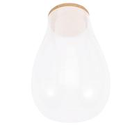 DOITOOL Creative Glass Terrarium Container with Cork Stopper Elegant DIY Bryophyte Ecological Bottle for Indoor Hydroponic Moss Succulents Miniature Garden