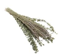 DOITOOL Dried Eucalyptus Leaf Lavender Ornament Preserved Lavender Bouquet 12 Eucalyptus Leaves Dried Flowers Home Decorations Private Homes Shooting