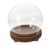 DOITOOL Glass Bell Jar Dome with Wooden Base Transparent Display Cloche for Micro Landscape Flowers Dried Plants and Decorative Items Elegant Indoor Tabletop Ornament