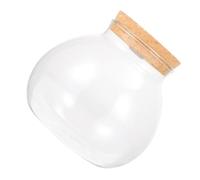 DOITOOL Glass Terrarium Plant Propagation Station with Cork Lid and LED Light, 15cm round Hydroponic Vase for Indoor and Outdoor Desktop Gardening