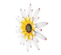 DOITOOL Iron Flower Wall Sculpture with Vivid Design and Simple Colour Decorative Metal Flower Pendant for Yard and Living Room Wall Décor