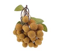 DOITOOL Lifelike Artificial Longan Fruit Model with Heads Plastic Simulated Fruit Display for Home Decoration Shop Window Wedding Prop and Photo Shoot Accessory