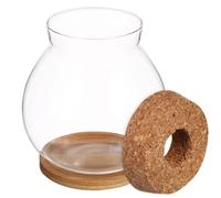 DOITOOL Mini Glass Fish Bowl with Bamboo Lid Easy Hydroponics Desktop Aquarium for Betta Fish Stylish and Elegant for Office Decor