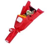 DOITOOL Plush Graduation Bear Bouquet Graduation Party Favors 12.38x5.50x3.54in Plastic Plush Cloth Versatile Decoration Comfortable Feel Unique Design Adorable for Graduates Room