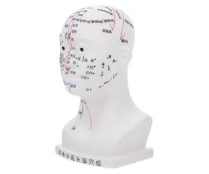 DOITOOL PVC Material Acupuncture Model with Accurate Acupuncture Points and Ergonomic Design Human Acupoint Model for Classroom Health Demonstrations and Teaching Use