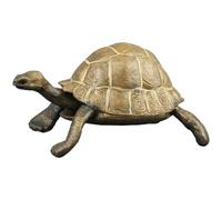 DOITOOL Realistic Tortoise Model Figurine PVC Educational Turtle for Animal Cognition Early Development Decorative Ornament for School Projects and Ocean-themed Parties