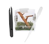 DOITOOL Reptile Breeding Box Acrylic Transparent Pet Terrarium for Small Spiders Insects Geckos Tarantulas Climbing Habitat Cage for Breeding and Feeding