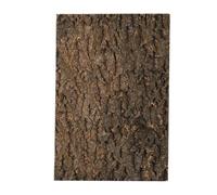 Doiyislem Cork Wood For Reptiles,Climbing Exercise Landscaping Decoration,Natural Terrarium Decor Cork Bark - for Snake Lizard Tortoise Gecko Turtle Chameleon Pet Keepers Animal Lovers