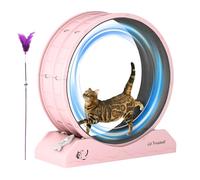 Doiyislem Exercise Wheel for Cats - Fitness Equipment for Kitten - Running Wheel for Indoor Cats Weight Loss, Kitten Treadmill with Low Noise