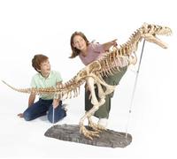 DOKTOR FUN - MEGA T-Rex Dinosaur Skeleton - Assemble Your Own Dinosaur - Giant Dinosaur Toy - 120 × 180 cm Realistic Model - 60 Pieces - Toys for Enthusiasts of All Ages