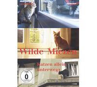 Dokumentation - Wilde Miezen