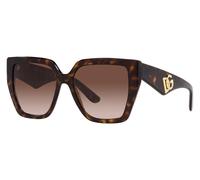 Dolce & Gabbana DG4438 502/13 55 Sunglasses Havana Gradient Brown