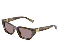 Dolce & Gabbana DG4532 3447LA Woman Sunglasses Acetate Green Violet Cat Eye Normal