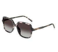 Dolce & Gabbana DG4539 31728G Woman Sunglasses Acetate Turtle Grey Squared Normal Nuanced