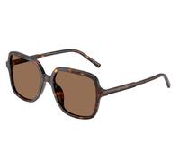 Dolce & Gabbana DG4539 502/73 Woman Sunglasses Acetate Turtle Brown Squared Normal