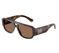 Dolce & Gabbana DG4482 502/73 Man Sunglasses Acetate Turtle Brown Pilot Normal