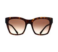 Dolce & Gabbana Sunglasses DG4384 502/13 Havana Gradient Brown