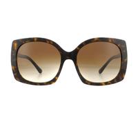 Dolce & Gabbana Sunglasses DG4385 502/13 Havana Brown Gradient Dark Brown