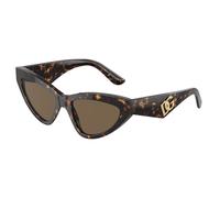 Dolce & Gabbana Sunglasses DG4439 502/73 Havana brown Woman
