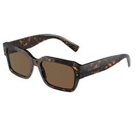 Dolce & Gabbana Sunglasses DG4460 502/73 Havana brown Man