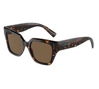 Dolce & Gabbana Woman Dolce & Gabbana DG4471 502/73 Sunglasses Acetate Turtle Brown Squared Normal