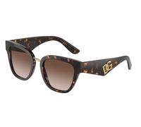 Dolce & Gabbana Woman DG4437 502/13 Sunglasses Acetate Turtle Brown Butterfly Normal Shaded