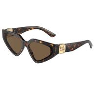 Dolce & Gabbana Woman DG4469 502/73 Sunglasses Acetate Turtle Brown Butterfly Normal